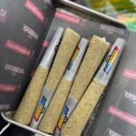 Sluggers Mini Pre-Rolls